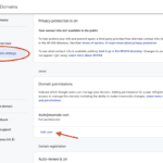 How to Add an Outside User to a Google Domain Registration
